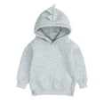 thumbnail image 1 of Sopiago Toddler Girl Hoodie Pullover Fleece Hooded Sweatshirt Solid Color Tops Warm Fall Winter Clothes Light Gray,3-6 Months, 1 of 5