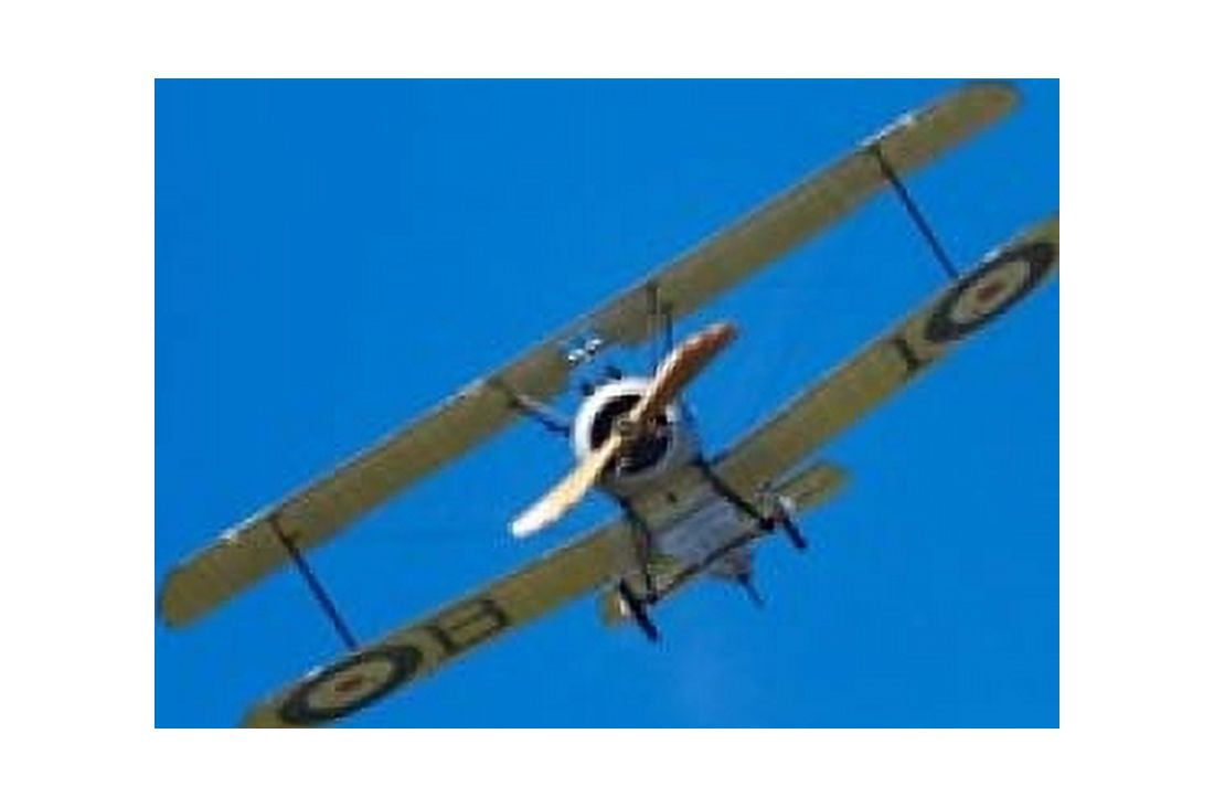 Sopwith Camel WWI Fighter Plane War plane Canvas Art - David Wall DanitaDelimont (26 x 18)