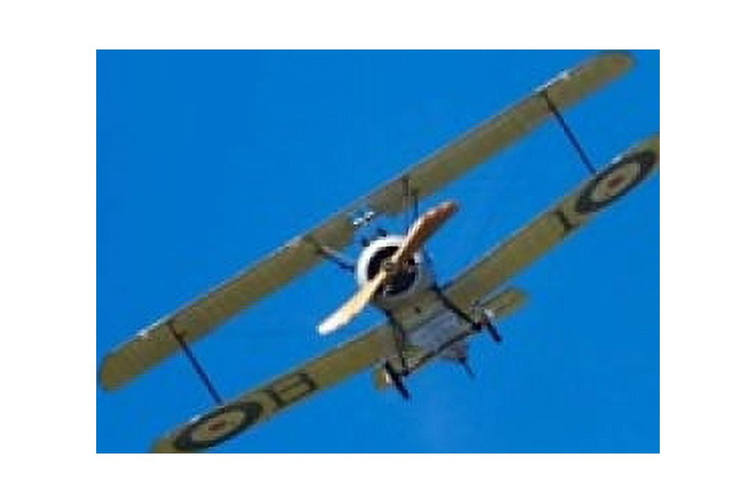 Sopwith Camel WWI Fighter Plane War plane Canvas Art - David Wall DanitaDelimont (36 x 24)
