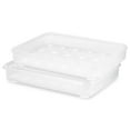 thumbnail image 1 of Sorbus Egg Containers with Snug Tight Lids Clear Deviled Egg Carrier Tray Stackable & Portable Dispenser (Set of 2, Holds 48-Egg), 1 of 7