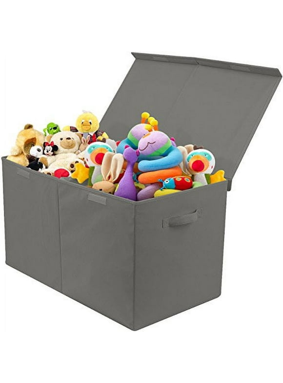 Toy Boxes & Chests in Kids Storage
