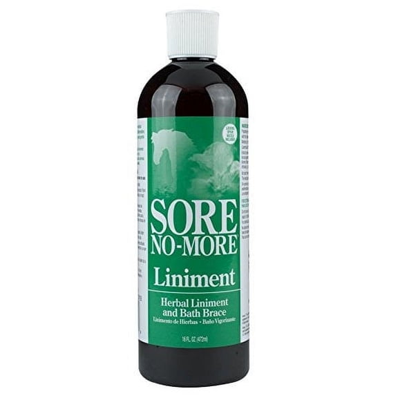Sore No More Liniment Bottle with Sprayer (16-Ounce)