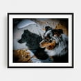 thumbnail image 1 of Soren Inyo's Shadow - Bishop California Photography Dog Animal Wildlife Snow Winter Nature Silhouette Black Framed Wall Art Print 9 x 12 inches, 1 of 3