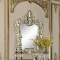 thumbnail image 1 of ACM-LV01215 - ACME Sorina Mirror, Antique Gold Finish, 1 of 4