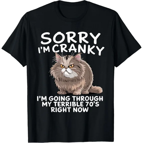 Sorry I Am Cranky I'm Going Through My Terrible Seventies T-Shirt unisex T-Shirt