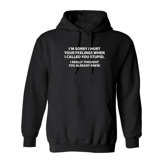 Sorry I Called You Stupid I Thought You Already Knew Sarcastic Novelty Gift Idea Adult Humor Funny Men's Hoodies