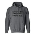 thumbnail image 1 of Sorry If My Common Sense Offends Adult Hooded Sweatshirt, 1 of 3