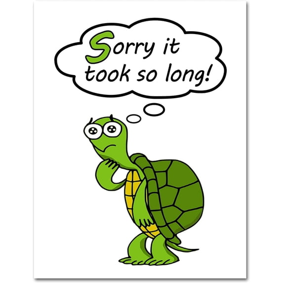 Sorry It Took So Long Turtle Greeting Cards - Blank Inside - 5.5"x4.25" - 24 Count