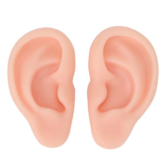 Sorven Ear Model Domary 1 Pair Silicone Ear Model Soft Flexible Simulation Ear Model for Earrings Display Ear Piercing Exercise