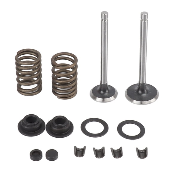 Sorven Generator Valve Stem Kit Microtiller Valve Parts, Robust Air Cooled Generator Intake Valve Iron Lightweight Easy To Install Anti Corrosion for Gardening Machinery for