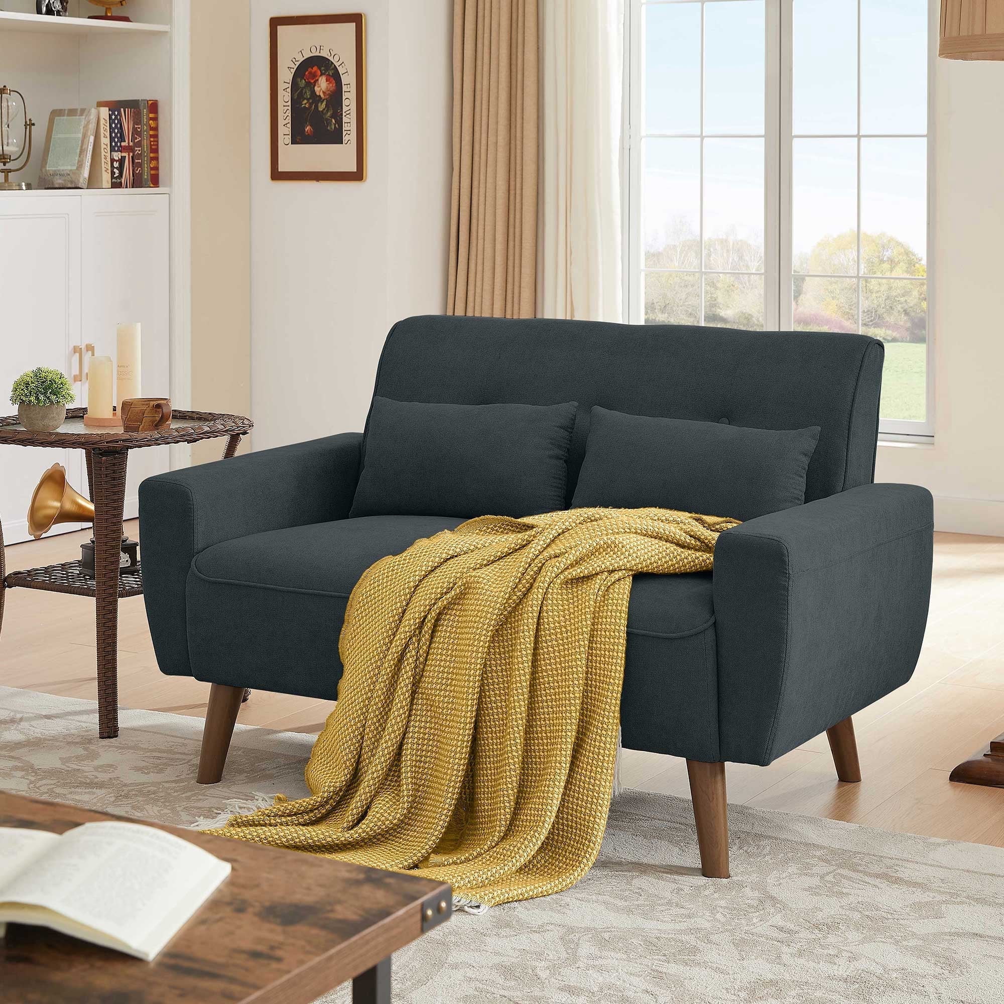 Soscana Loveseat Double Seat Sofa Couch with 2 Throw Pillows, Modern Creative Small Couches Love Seat for Living Room Apartment Bedroom Small Space Office Studio