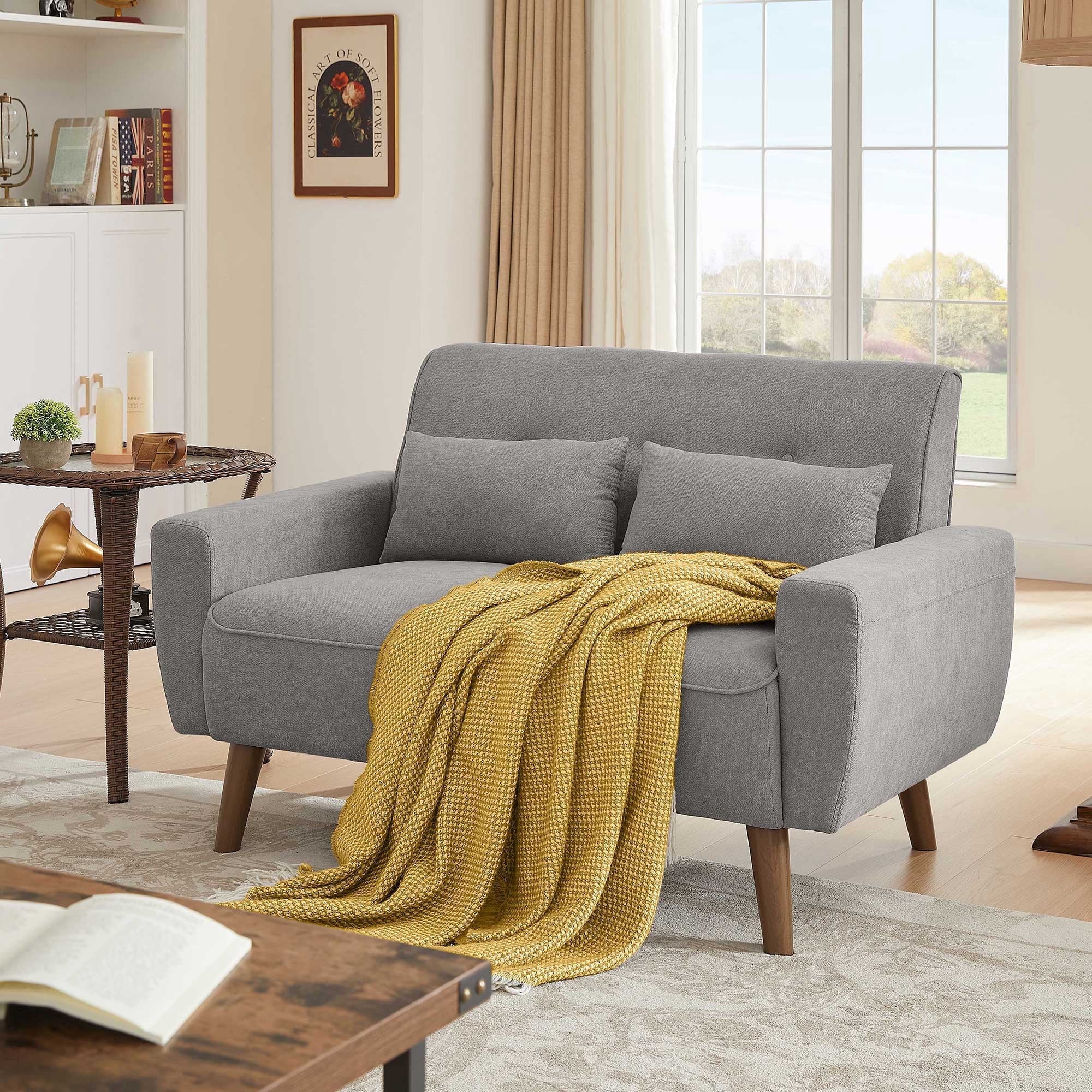 Soscana Loveseat Double Seat Sofa Couch with 2 Throw Pillows, Modern Creative Small Couches Love Seat for Living Room Apartment Bedroom Small Space Office Studio