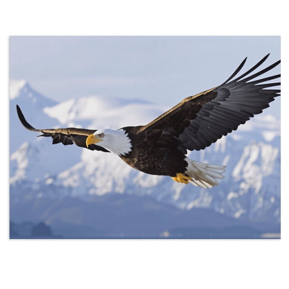 Soscooter Bald Eagle Flying Bird Wildlife, Canvas Wall Art for Living Room Decor Aesthetic Vintage Prints, Cuadros Para Dormitorios 16x12 inches