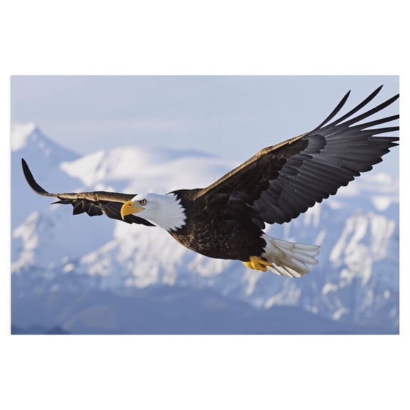 Soscooter Bald Eagle Flying Bird Wildlife, Canvas Wall Art for Living Room Decor Aesthetic Vintage Prints, Cuadros Para Dormitorios 36x24 inches