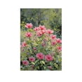 thumbnail image 1 of Soscooter Monet Canvas Wall Art Impressionist Floral Garden Paintings Wall Decor Vintage Nature Landscape Artwork Prints Cottagecore Pictures 24x36 inches, 1 of 8