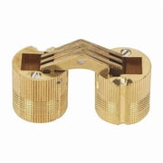 Hidden Barrel Hinge, Brass, Full Mortise Mounting, 5/8 in Leaf W x 21/32 in Leaf H, Satin Brass