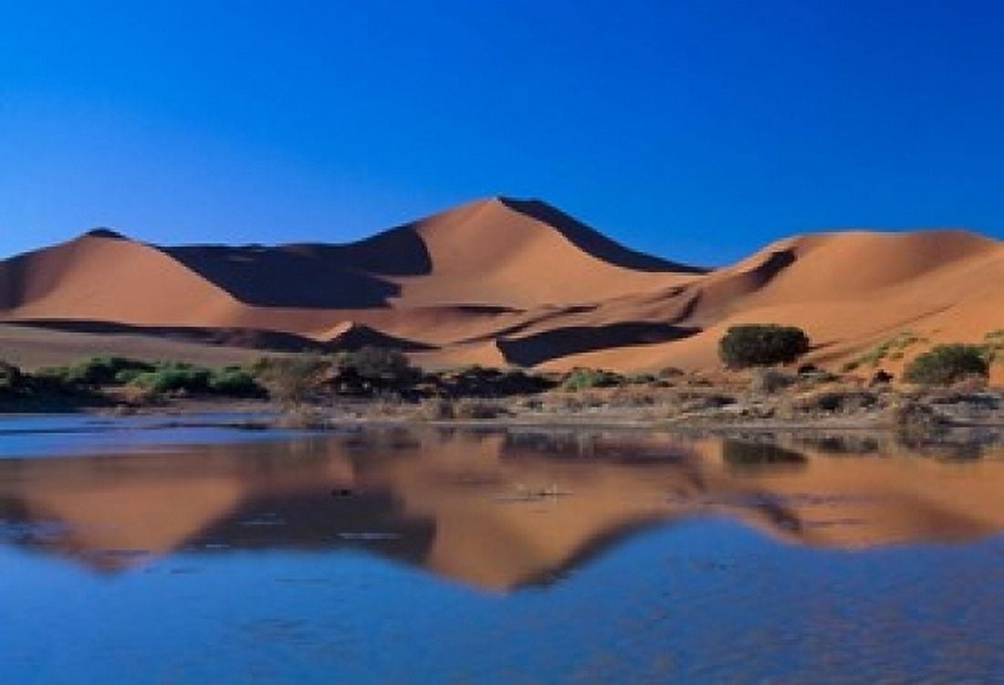 Sossusvlei Dunes Oasis Namib National Park Namibia Canvas Art - Art Wolfe DanitaDelimont (24 x 15)