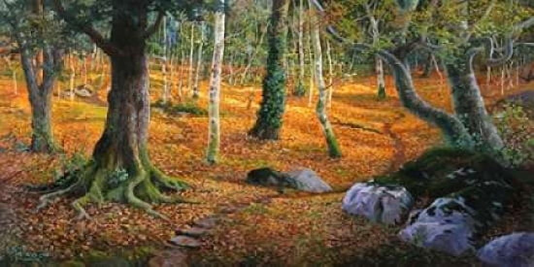 Sottobosco Canvas Art - Adriano Galasso (24 x 48)