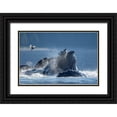 thumbnail image 1 of Souders, Paul 14x11 Black Ornate Wood Framed with Double Matting Museum Art Print Titled - Alaska-Seagull hovers above Humpback Whales surfacing as they bubble net feed on herring, 1 of 4