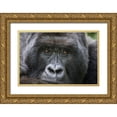 thumbnail image 1 of Souders, Paul 14x11 Gold Ornate Wood Framed with Double Matting Museum Art Print Titled - Africa-Rwanda-Volcanoes National Park-Portrait of Mountain Gorilla, 1 of 4