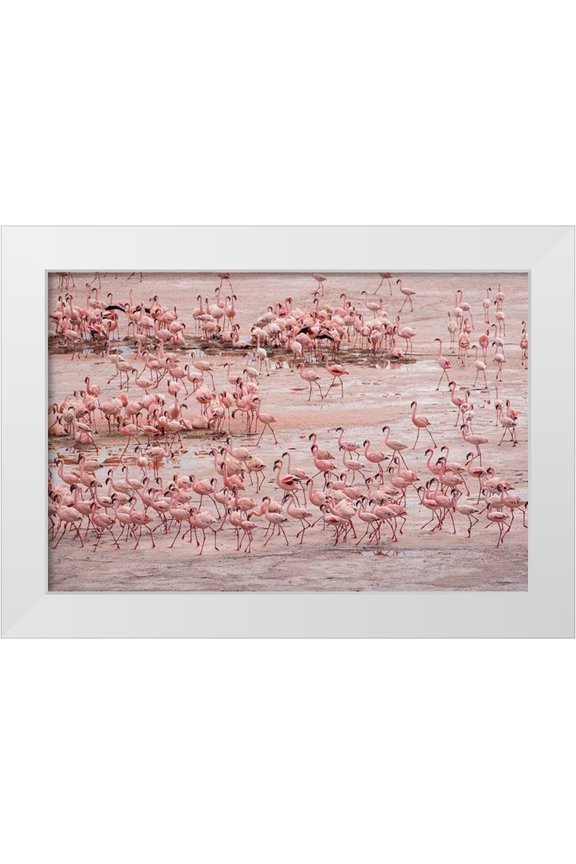 Souders, Paul 14x11 White Modern Wood Framed Museum Art Print Titled - Africa-Tanzania-Aerial view of vast flock of Lesser Flamingos nesting in shallow salt waters