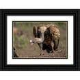 thumbnail image 1 of Souders, Paul 18x13 Black Ornate Wood Framed with Double Matting Museum Art Print Titled - Africa-Tanzania-Ngorongoro Conservation Area-White-backed Vultures, 1 of 4