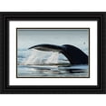 thumbnail image 1 of Souders, Paul 18x13 Black Ornate Wood Framed with Double Matting Museum Art Print Titled - Alaska-Water streams from tail of Humpback Whale swimming in Frederick Sound near Kupreanof Island, 1 of 4