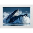 thumbnail image 1 of Souders, Paul 18x13 White Modern Wood Framed Museum Art Print Titled - Alaska-Humpback Whale surfaces while bubble net feeding in Frederick Sound, 1 of 4