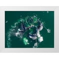 thumbnail image 1 of Souders, Paul 18x15 White Modern Wood Framed Museum Art Print Titled - Alaska Humpback Whales lunging at surface of Frederick Sound while bubble net feeding, 1 of 4