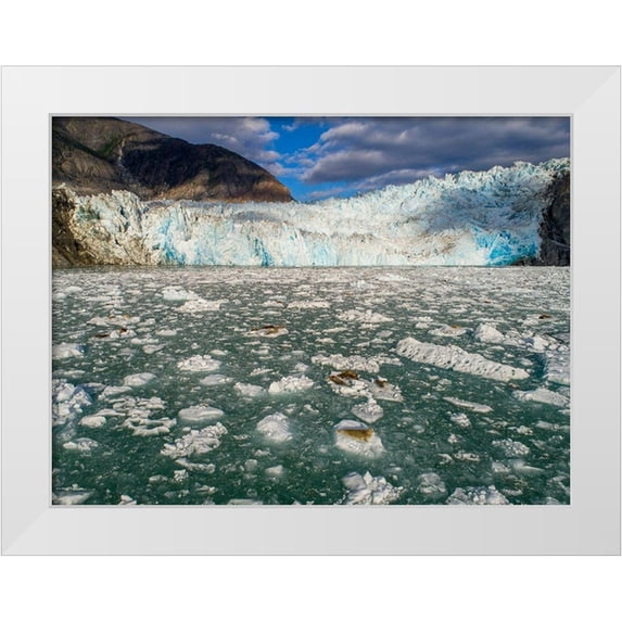 Souders, Paul 18x15 White Modern Wood Framed Museum Art Print Titled - Alaska-Tracy Arm Harbor Seals hauled out on icebergs calved from Dawes Glacier in Endicott Arm