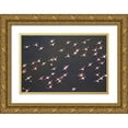 thumbnail image 1 of Souders, Paul 24x17 Gold Ornate Wood Framed with Double Matting Museum Art Print Titled - Africa-Tanzania-Aerial view of flock of Greater and Lesser Flamingos flying above salt waters, 1 of 4