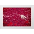 thumbnail image 1 of Souders, Paul 24x17 White Modern Wood Framed Museum Art Print Titled - Africa-Tanzania-Aerial view of patterns of red algae and salt formations in shallow salt waters, 1 of 4