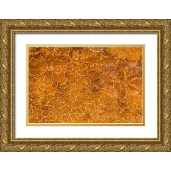 Souders, Paul 32x23 Gold Ornate Wood Framed with Double Matting Museum Art Print Titled - Africa-Tanzania-Aerial view of patterns of yellow algae and salt formations in shallow salt waters