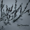 thumbnail image 1 of Soul Dissolution - Winter Contemplations - Music & Performance - CD, 1 of 1