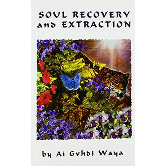 Pre-Owned Soul Recovery and Extraction: Putting Back the Pieces of Your Life (Paperback) 0963466232 9780963466235