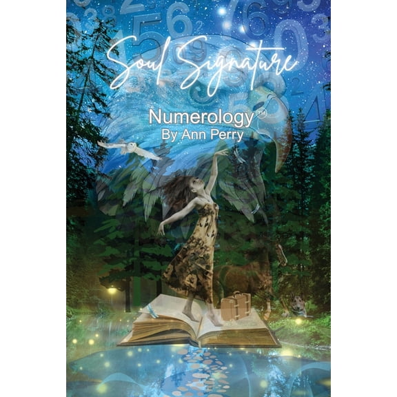 Soul Signature Numerology(TM), (Paperback)