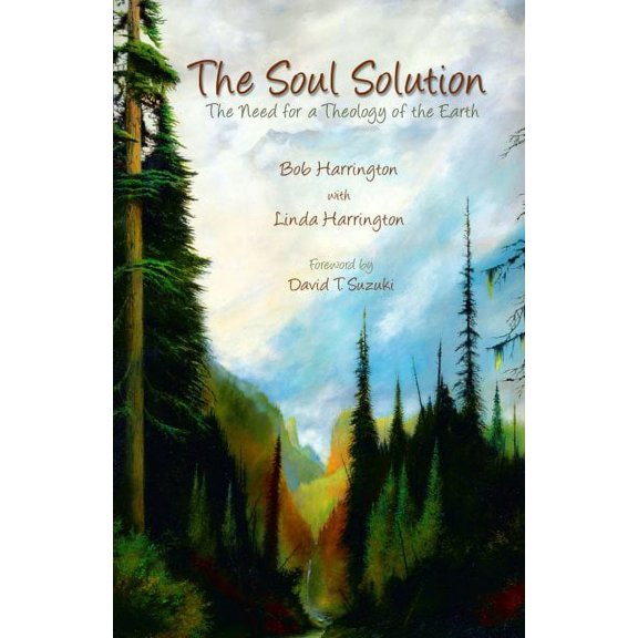 Soul Solution : The Need for a Theology of the Earth