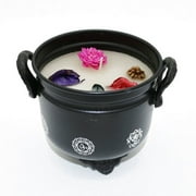 Soul Sticks 4 7 Chakras Metal Cauldron White Sage Scented Candle with Dried Flowers with Handle Reusable for Spells, Smudging, Rituals & Blessings
