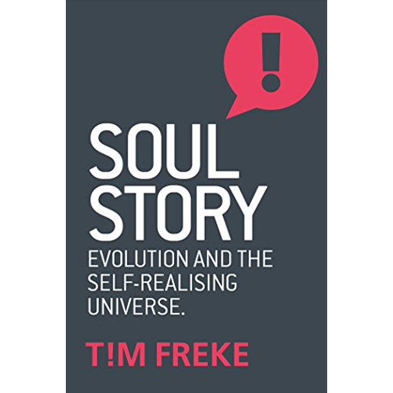 Pre-Owned Soul Story: Evolution and the Purpose of Life (Paperback) 1780289847 9781780289847