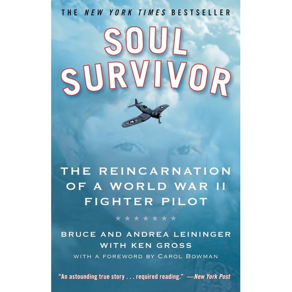 Pre-Owned Soul Survivor: The Reincarnation of a World War II Fighter Pilot (Paperback) 0446509345 9780446509343