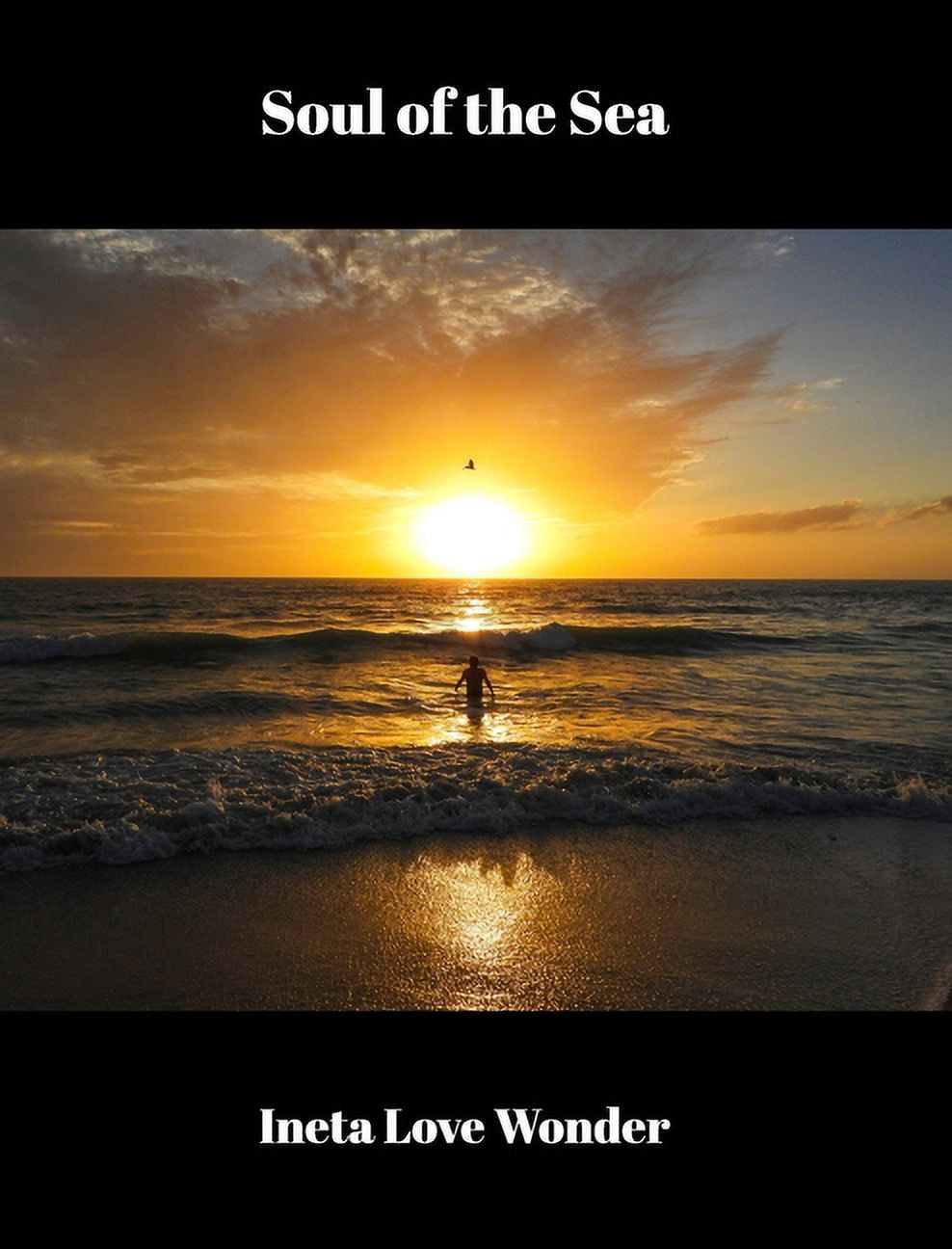 Soul of the Sea, (Hardcover)