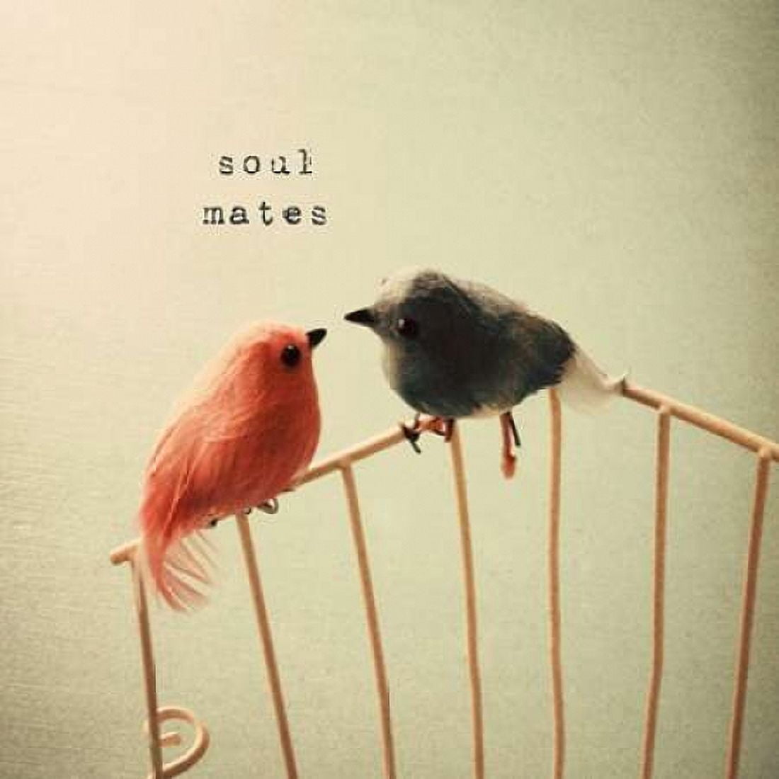 Soulmates Canvas Art - Susannah Tucker Photography (24 x 24)