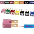 thumbnail image 1 of Soumake 100A 80A 70A 60A 50A 40A 30A PAL Male Slow Blow Car Auto Fuse for Honda, 1 of 7