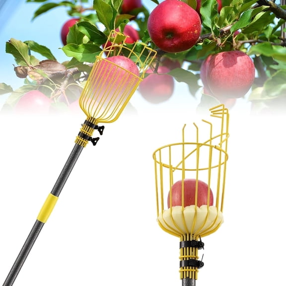 Soumns Fruit Picker Pole with Basket & Bruise Free Foam Pad,66 Inch Adjustable Apple Orange Berry Picker Pole Tool, Yellow