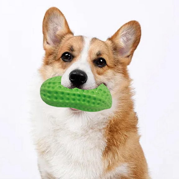 Sound Making Toys Dog Resistance Teeth Grinding Interactive Sound Toy for Dogs, 13x5.6 cm, Green