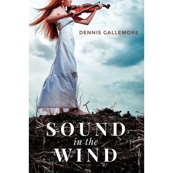 Sound in the Wind (Paperback)