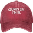 thumbnail image 1 of Sounds Gay I'm in Funny LGBT Cowboy Hat Men Vintage Baseball Cap Women Dad Hat Sun Hat Adjustable Trucker Hat Black, 1 of 8