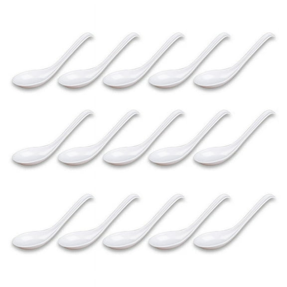 Soup Spoons,15 Pcs Rice Spoons with Long Handle for Restaurants