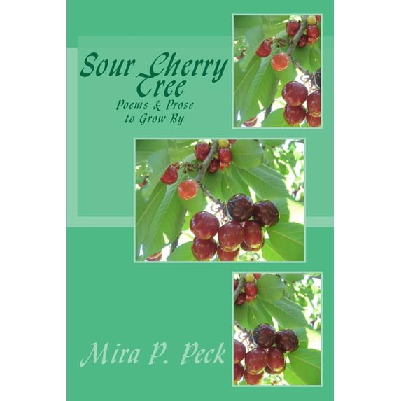 Sour Cherry Tree (Paperback)