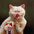thumbnail image 1 of Sour Milk Poster Print by Lucia Heffernan, 1 of 2